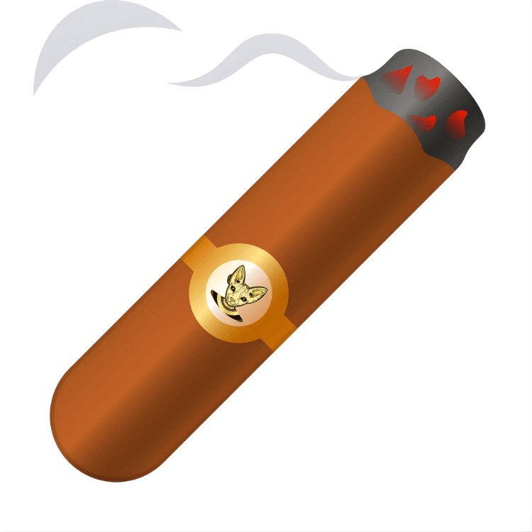 Cigar (Xì gà)