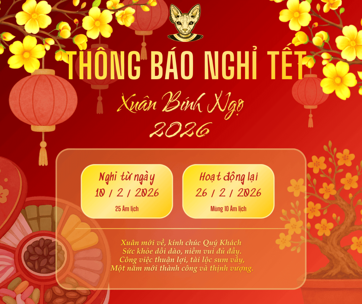 Thông Báo Nghỉ Tết Xuân Bính Ngọ 2026