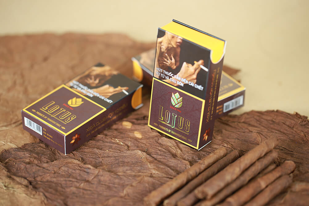 Cigar Lotus Club Special Edition - Hộp 10 điếu - Cigar (Xì gà) chính hãng Cần Thơ, mua online giá rẻ tại Tiệm Thuốc Lá - Hình 1