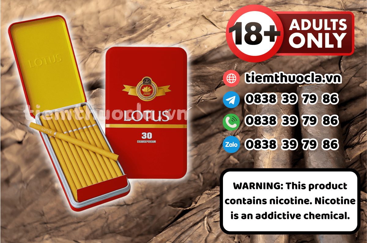 Cigar Lotus Slim - Hộp 30 điếu